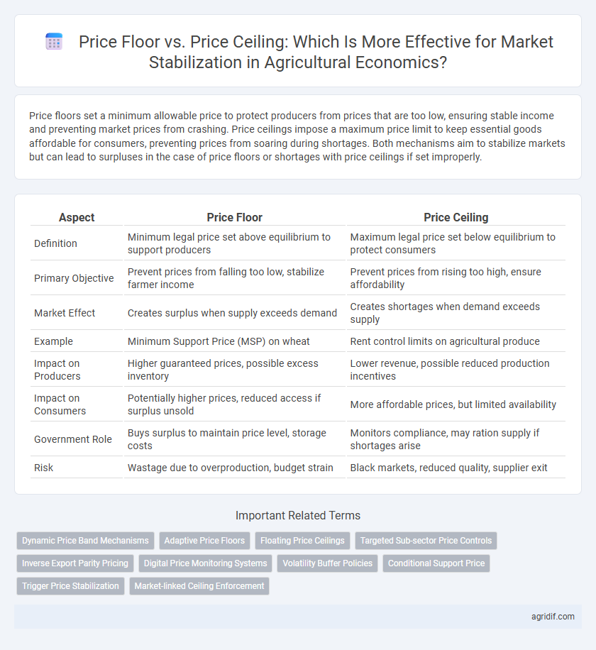 Price Floor vs. Price Ceiling: Which Is More Effective for Market Stabilization in Agricultural Economics?