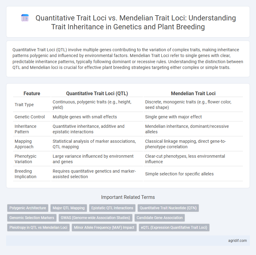 Quantitative Trait Loci vs. Mendelian Trait Loci: Understanding Trait Inheritance in Genetics and Plant Breeding