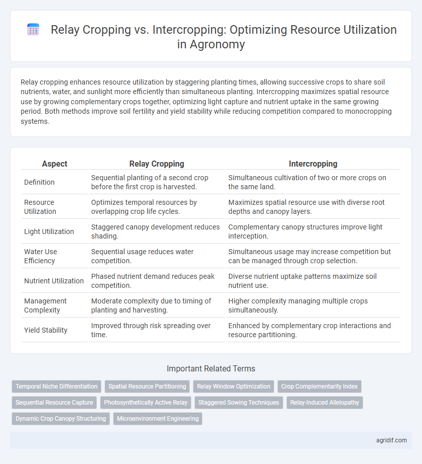 Relay Cropping vs. Intercropping: Optimizing Resource Utilization in Agronomy