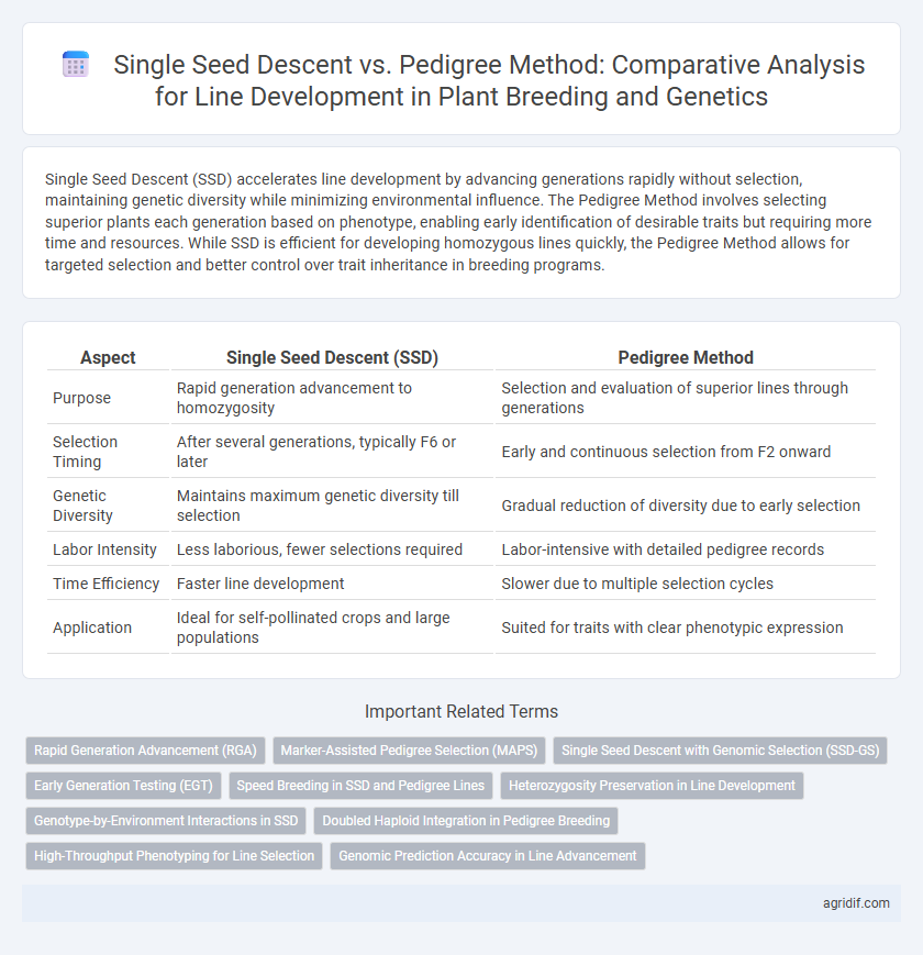 Single Seed Descent vs. Pedigree Method: Comparative Analysis for Line Development in Plant Breeding and Genetics