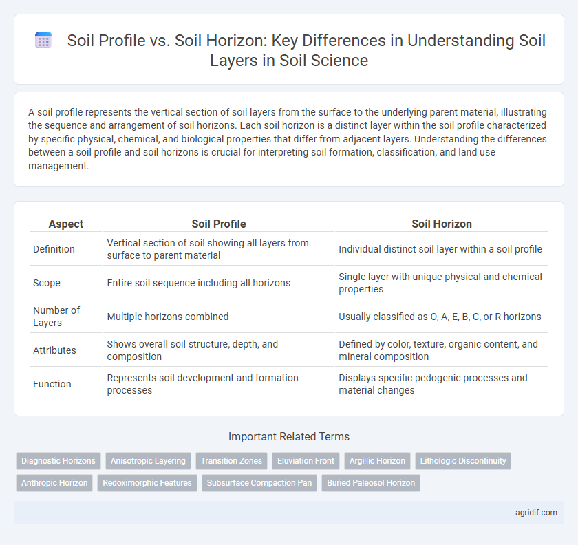 Soil Profile vs. Soil Horizon: Key Differences in Understanding Soil Layers in Soil Science