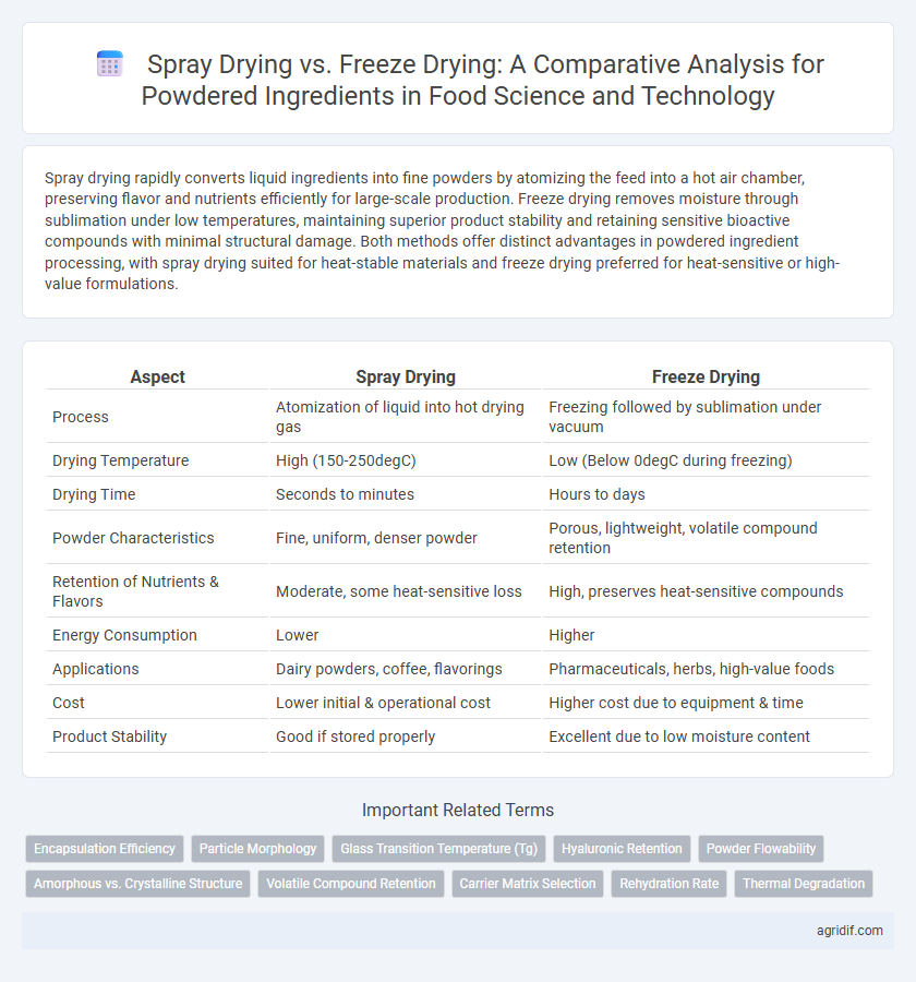 Spray Drying vs. Freeze Drying: A Comparative Analysis for Powdered Ingredients in Food Science and Technology
