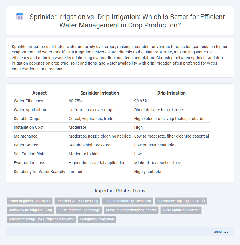 Sprinkler Irrigation vs. Drip Irrigation: Which Is Better for Efficient Water Management in Crop Production?