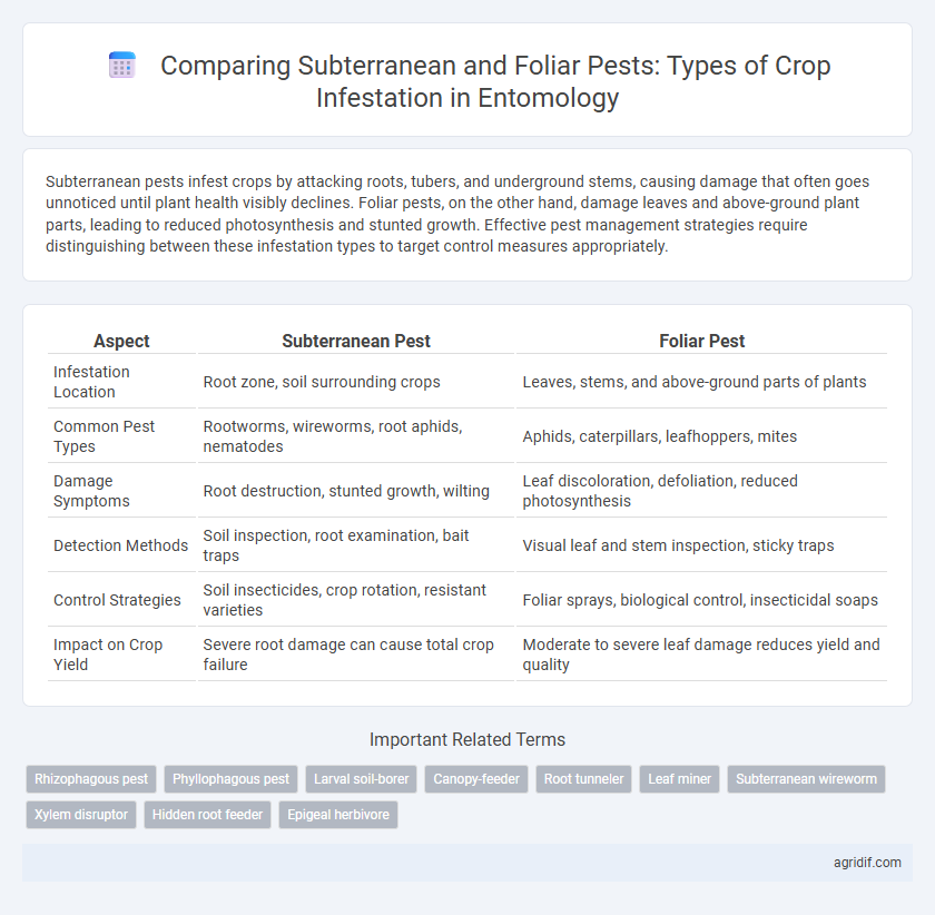 Comparing Subterranean and Foliar Pests: Types of Crop Infestation in Entomology