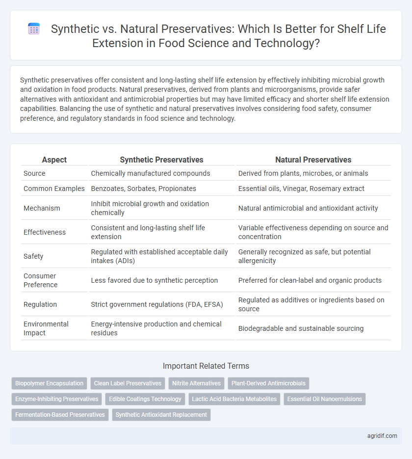 Synthetic vs. Natural Preservatives: Which Is Better for Shelf Life Extension in Food Science and Technology?
