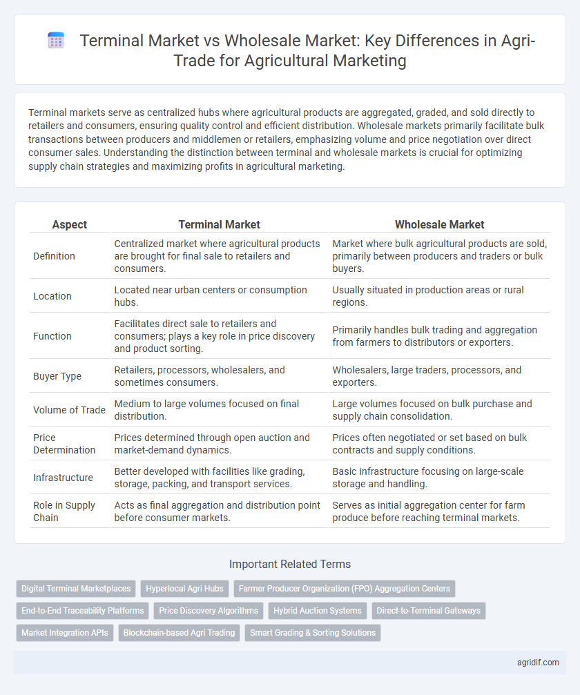 Terminal Market vs Wholesale Market: Key Differences in Agri-Trade for Agricultural Marketing