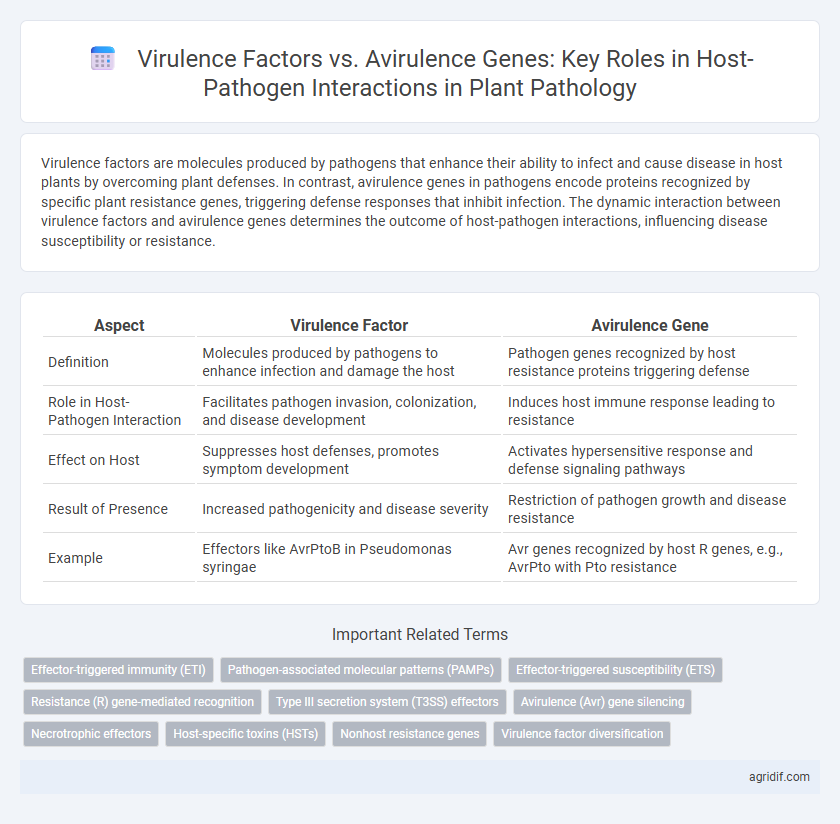Virulence Factors vs. Avirulence Genes: Key Roles in Host-Pathogen Interactions in Plant Pathology