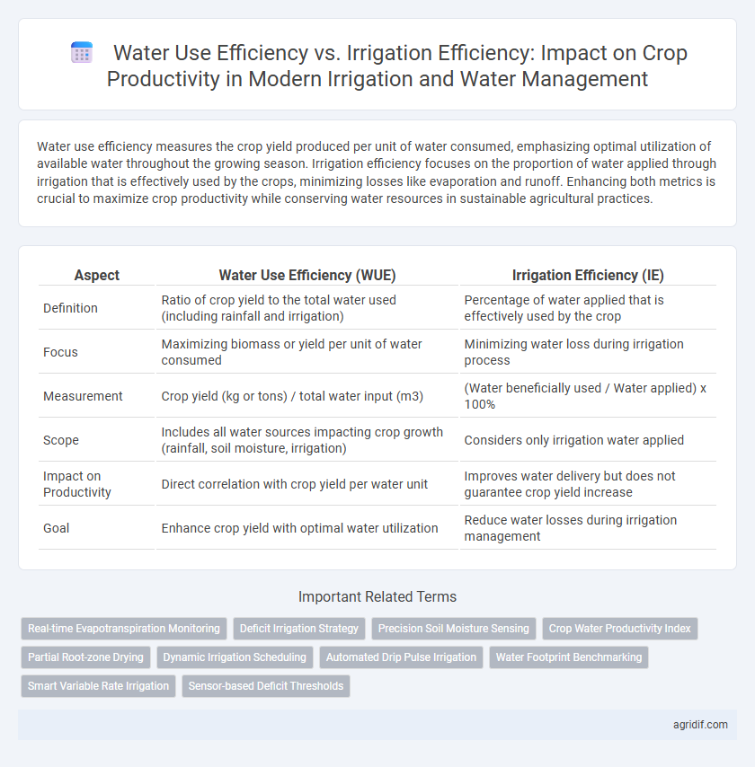 Water Use Efficiency vs. Irrigation Efficiency: Impact on Crop Productivity in Modern Irrigation and Water Management