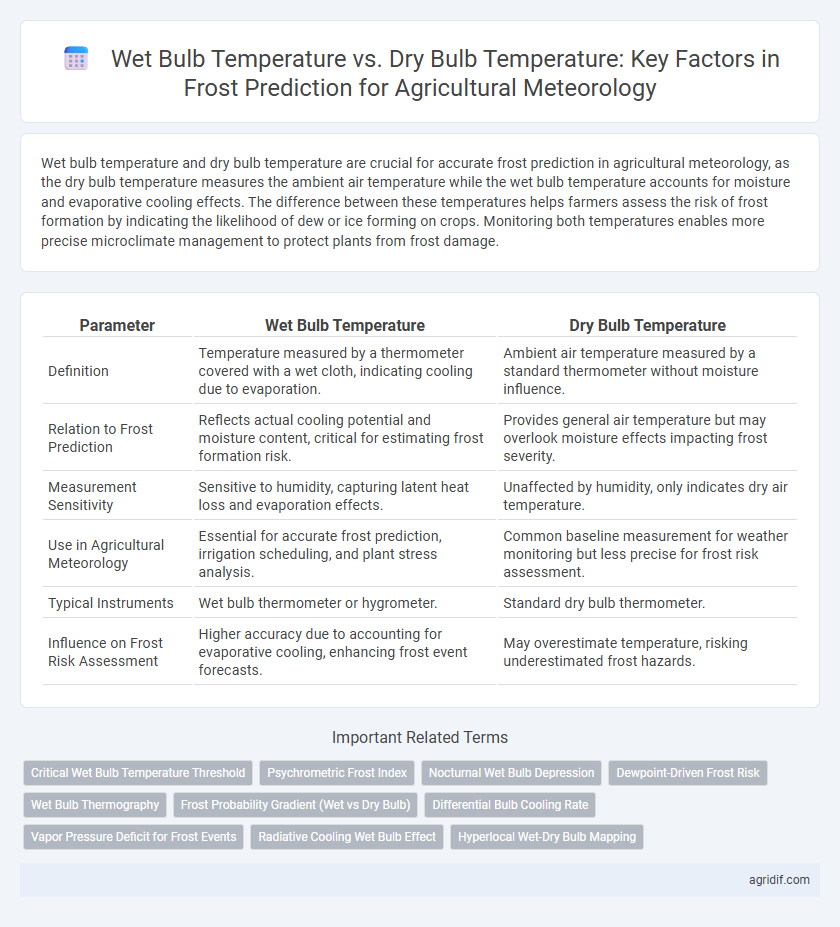 Wet Bulb Temperature vs. Dry Bulb Temperature: Key Factors in Frost Prediction for Agricultural Meteorology