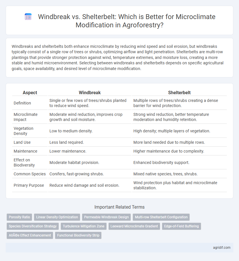 Windbreak vs. Shelterbelt: Which is Better for Microclimate Modification in Agroforestry?