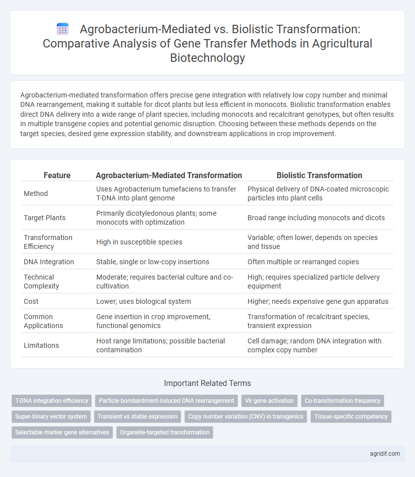 Agrobacterium-Mediated vs. Biolistic Transformation: Comparative Analysis of Gene Transfer Methods in Agricultural Biotechnology