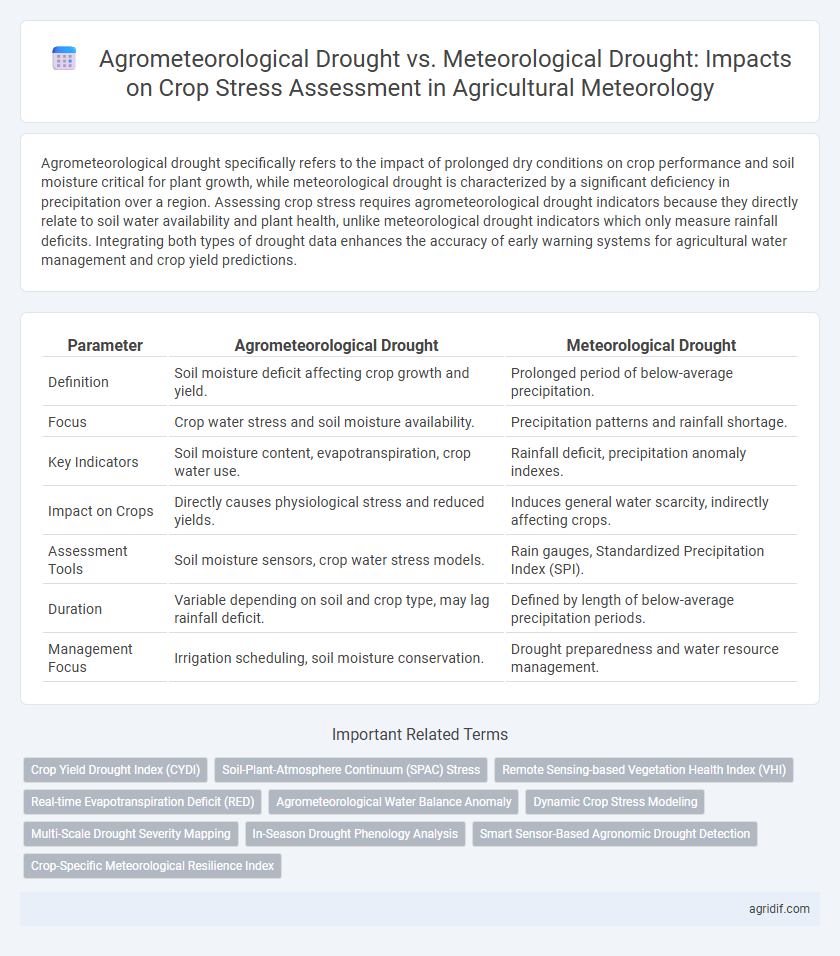 Agrometeorological Drought vs. Meteorological Drought: Impacts on Crop Stress Assessment in Agricultural Meteorology