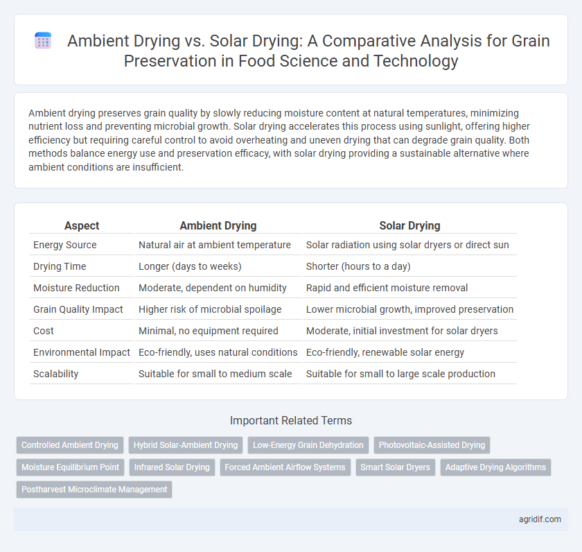 Ambient Drying vs. Solar Drying: A Comparative Analysis for Grain Preservation in Food Science and Technology