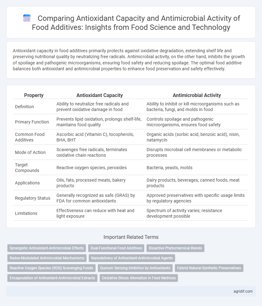 Comparing Antioxidant Capacity and Antimicrobial Activity of Food Additives: Insights from Food Science and Technology