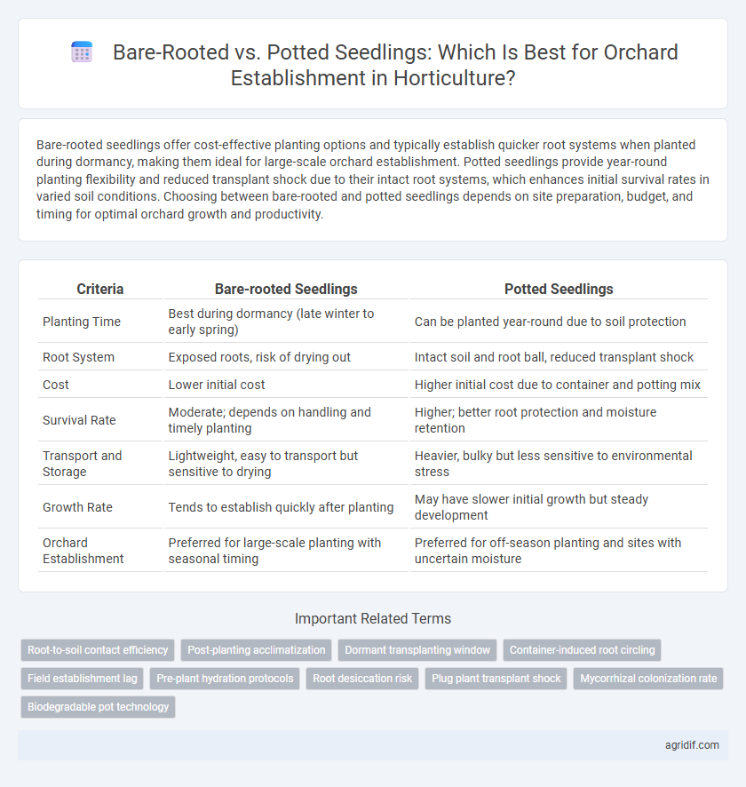Bare-Rooted vs. Potted Seedlings: Which Is Best for Orchard Establishment in Horticulture?