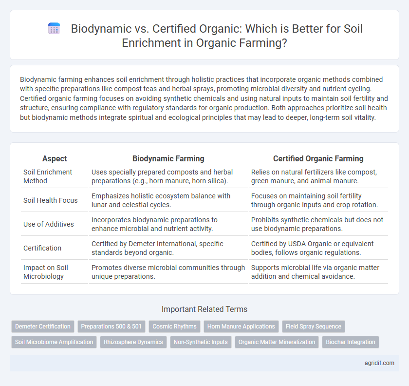 Biodynamic vs. Certified Organic: Which is Better for Soil Enrichment in Organic Farming?