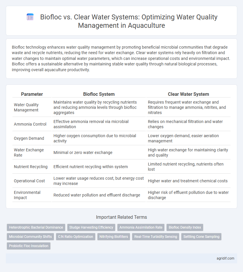 Biofloc vs. Clear Water Systems: Optimizing Water Quality Management in Aquaculture