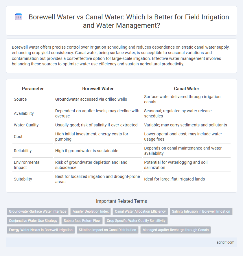Borewell Water vs Canal Water: Which Is Better for Field Irrigation and Water Management?
