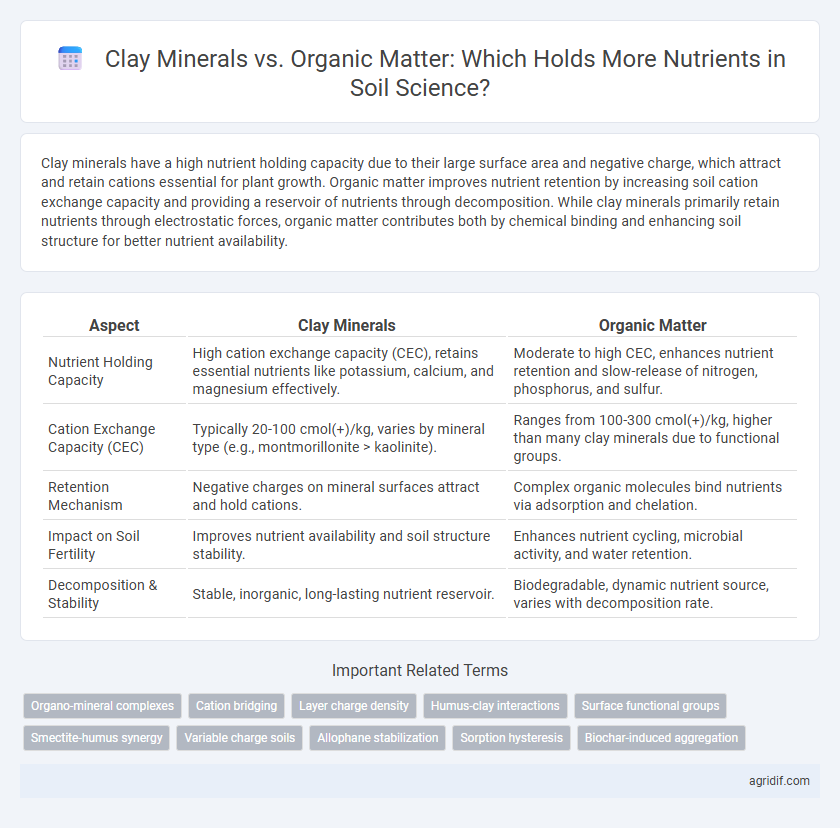 Clay Minerals vs. Organic Matter: Which Holds More Nutrients in Soil Science?