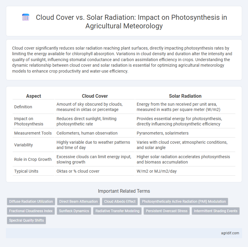 Cloud Cover vs. Solar Radiation: Impact on Photosynthesis in Agricultural Meteorology