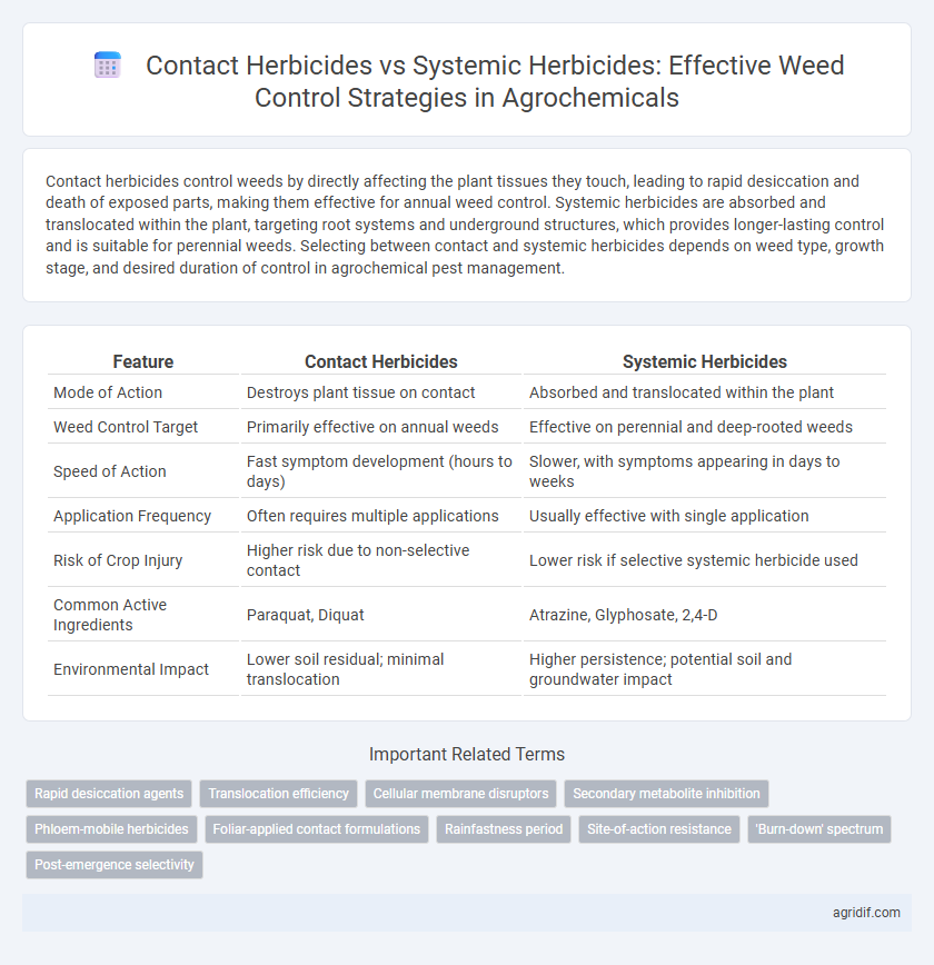 Contact Herbicides vs Systemic Herbicides: Effective Weed Control Strategies in Agrochemicals