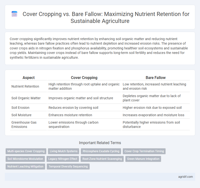 Cover Cropping vs. Bare Fallow: Maximizing Nutrient Retention for Sustainable Agriculture