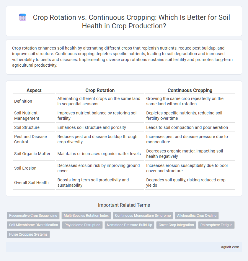 Crop Rotation vs. Continuous Cropping: Which Is Better for Soil Health in Crop Production?