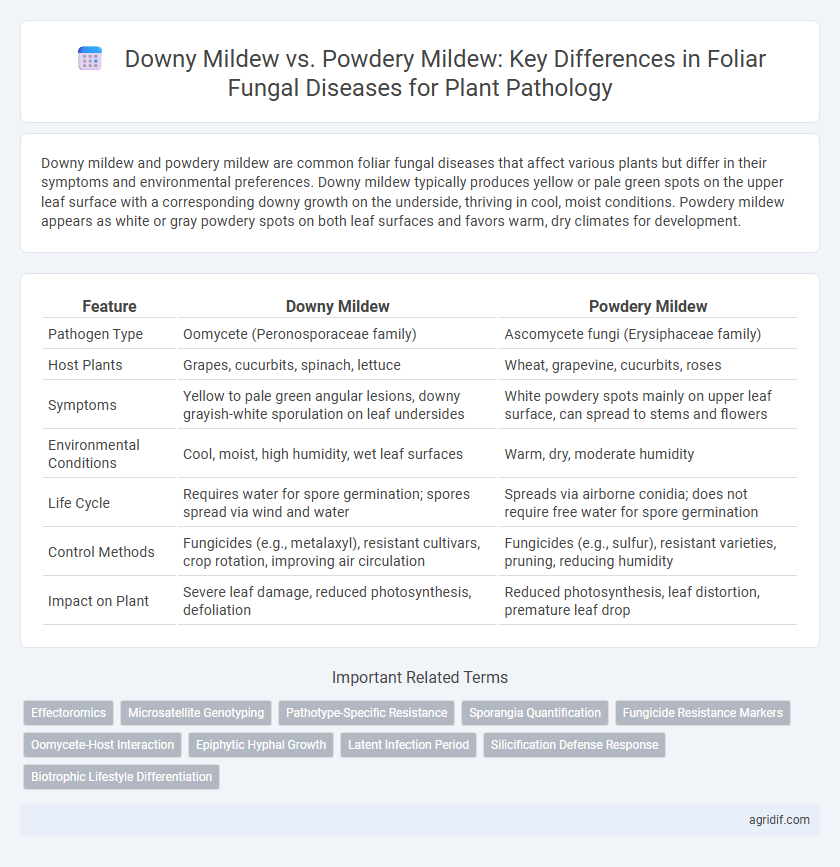 Downy Mildew vs. Powdery Mildew: Key Differences in Foliar Fungal Diseases for Plant Pathology