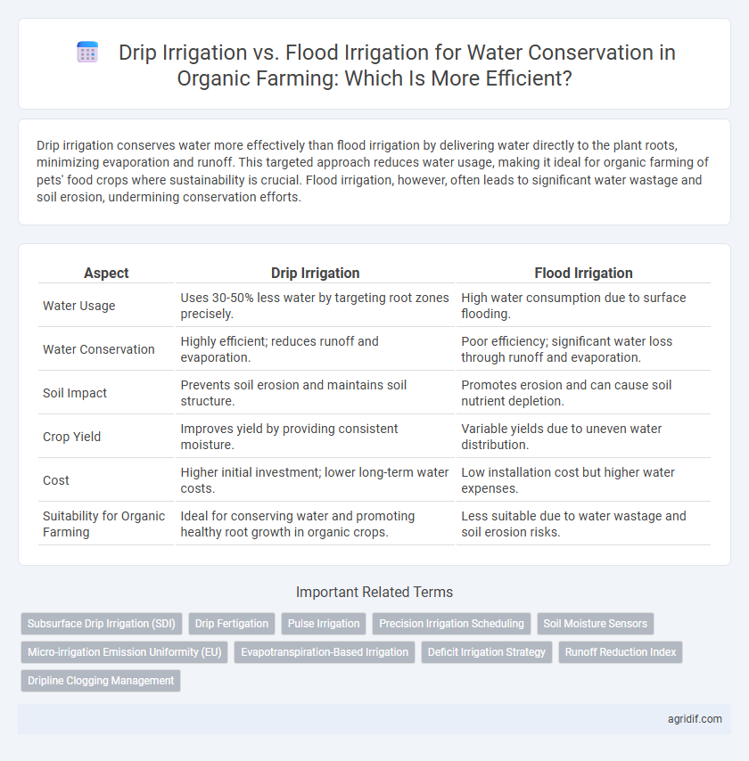 Drip Irrigation vs. Flood Irrigation for Water Conservation in Organic Farming: Which Is More Efficient?