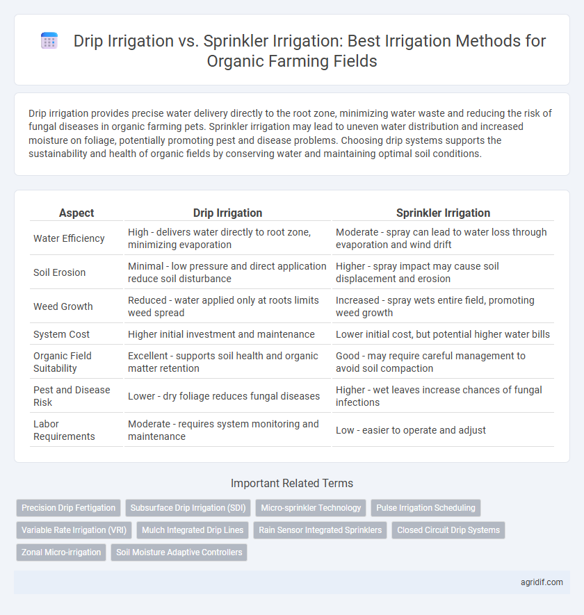 Drip Irrigation vs. Sprinkler Irrigation: Best Irrigation Methods for Organic Farming Fields