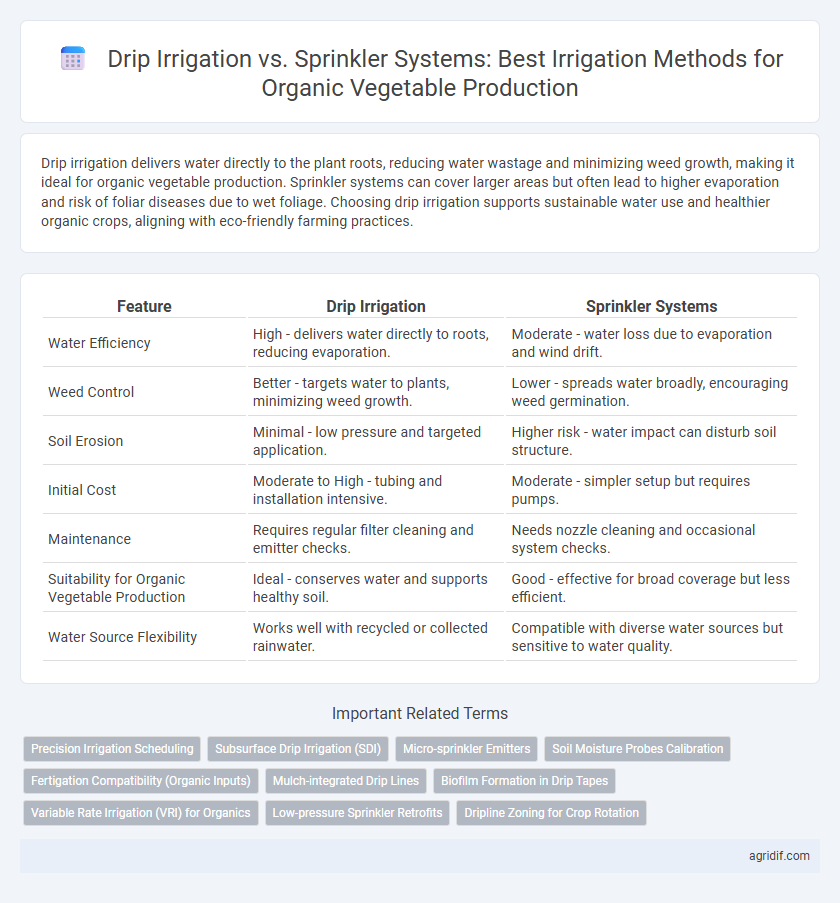 Drip Irrigation vs. Sprinkler Systems: Best Irrigation Methods for Organic Vegetable Production