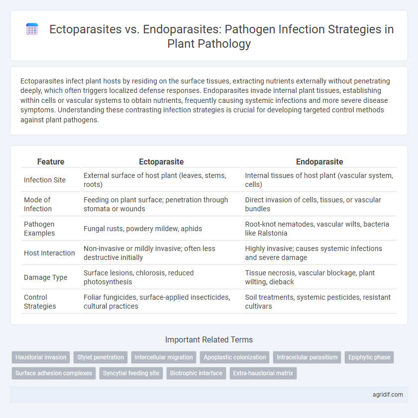 Ectoparasites vs. Endoparasites: Pathogen Infection Strategies in Plant Pathology
