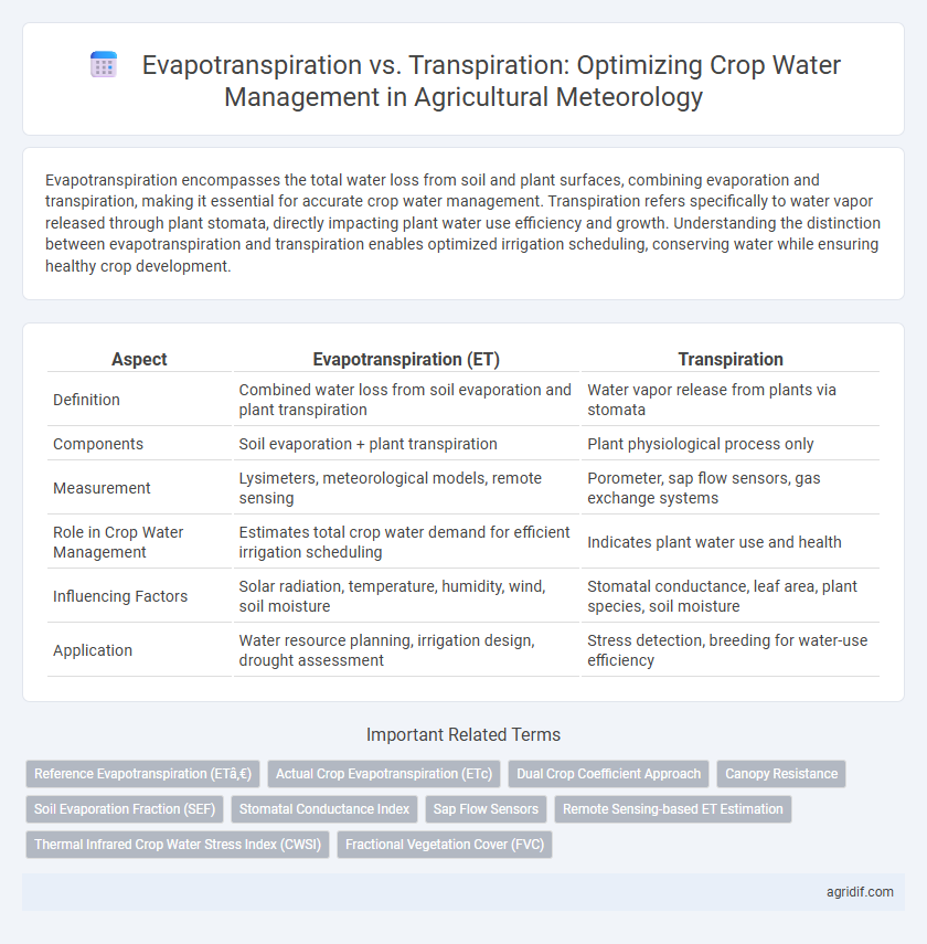 Evapotranspiration vs. Transpiration: Optimizing Crop Water Management in Agricultural Meteorology