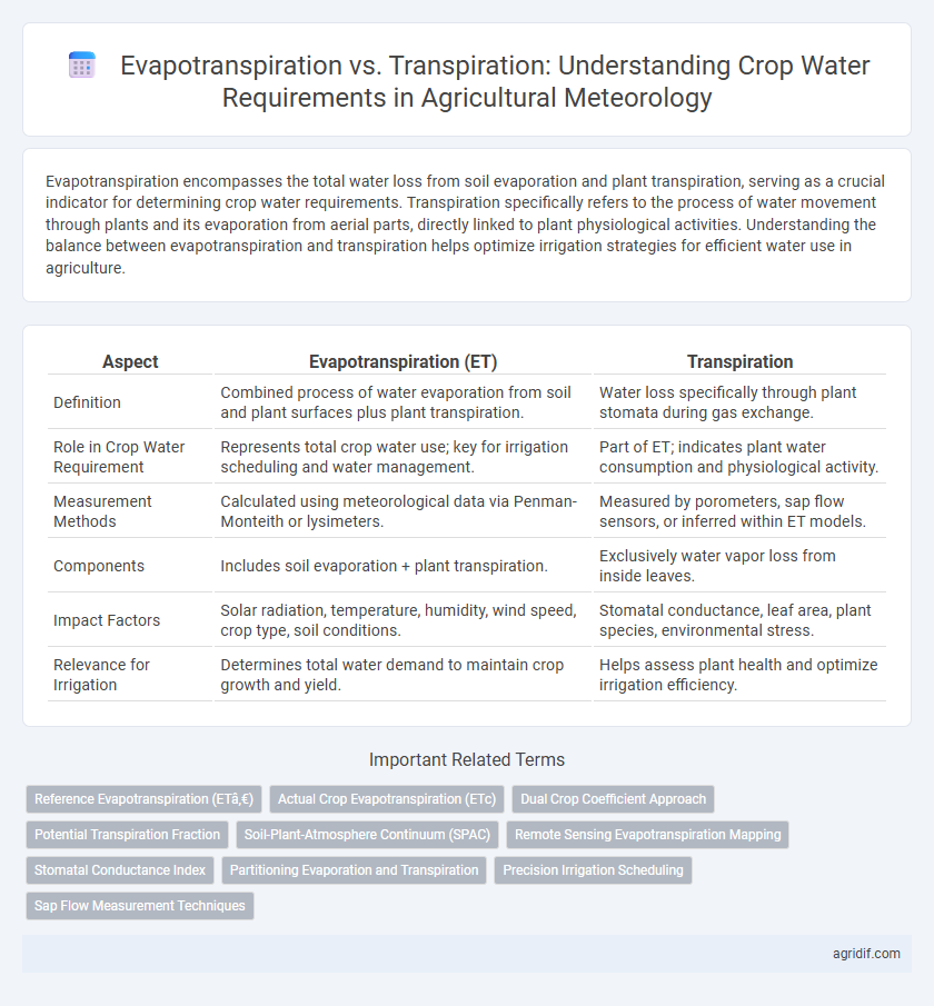 Evapotranspiration vs. Transpiration: Understanding Crop Water Requirements in Agricultural Meteorology