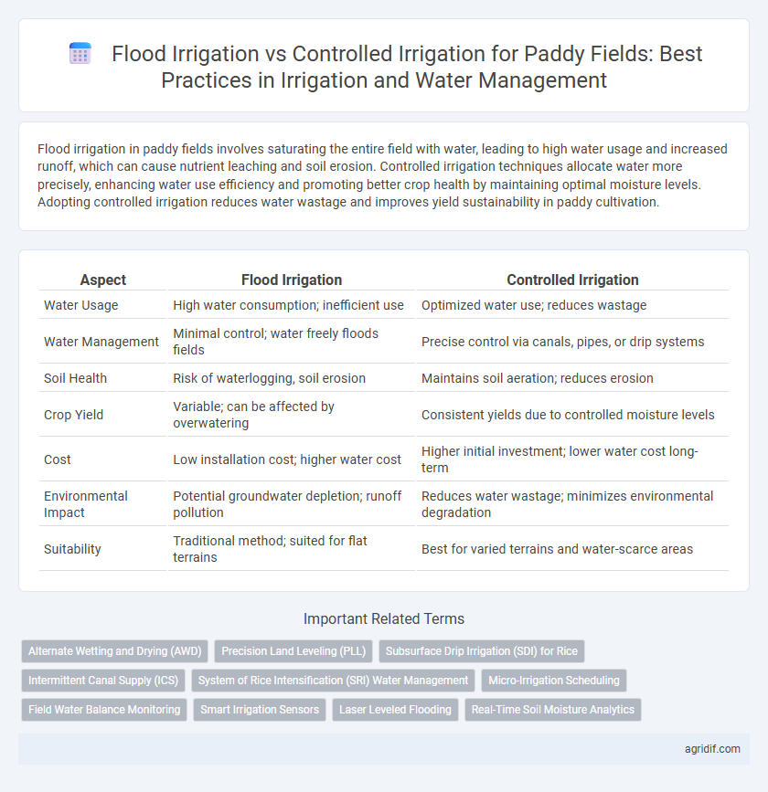 Flood Irrigation vs Controlled Irrigation for Paddy Fields: Best Practices in Irrigation and Water Management