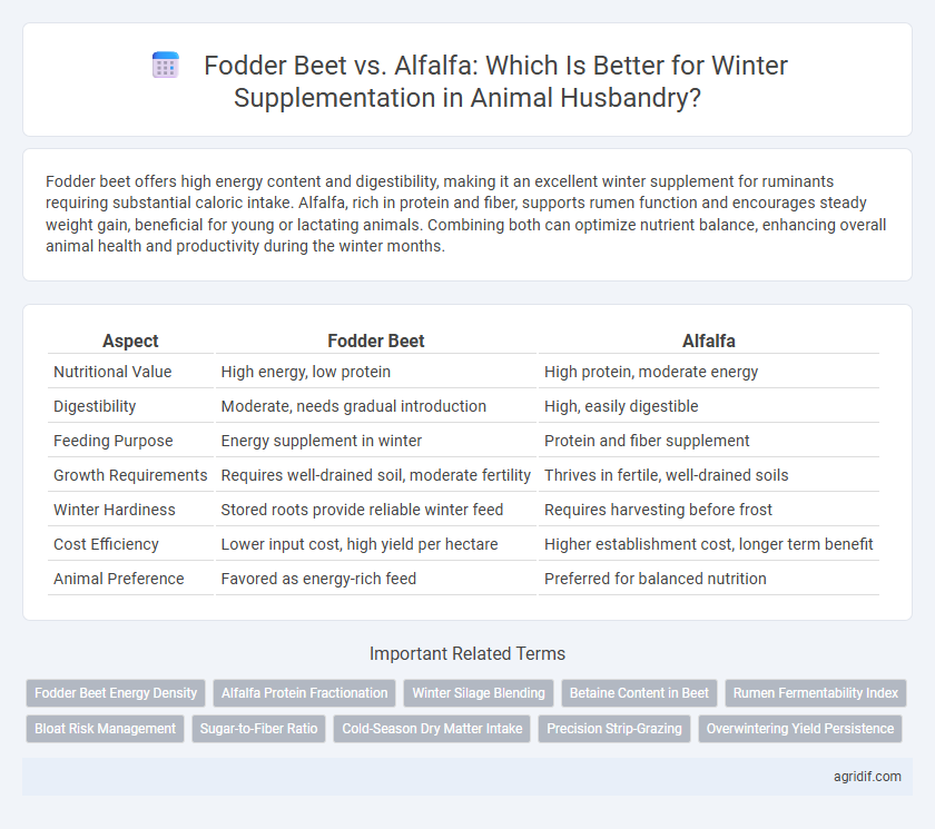 Fodder Beet vs. Alfalfa: Which Is Better for Winter Supplementation in Animal Husbandry?