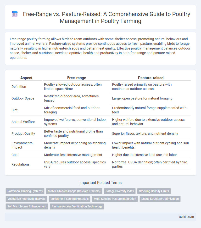 Free-Range vs. Pasture-Raised: A Comprehensive Guide to Poultry Management in Poultry Farming
