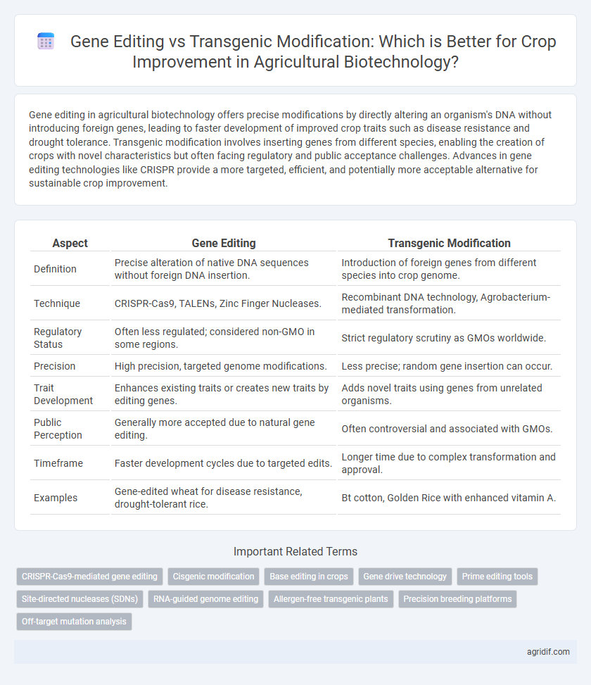 Gene Editing vs Transgenic Modification: Which is Better for Crop Improvement in Agricultural Biotechnology?