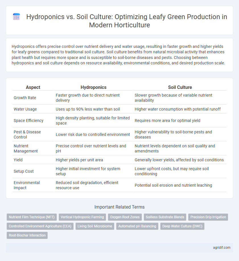 Hydroponics vs. Soil Culture: Optimizing Leafy Green Production in Modern Horticulture