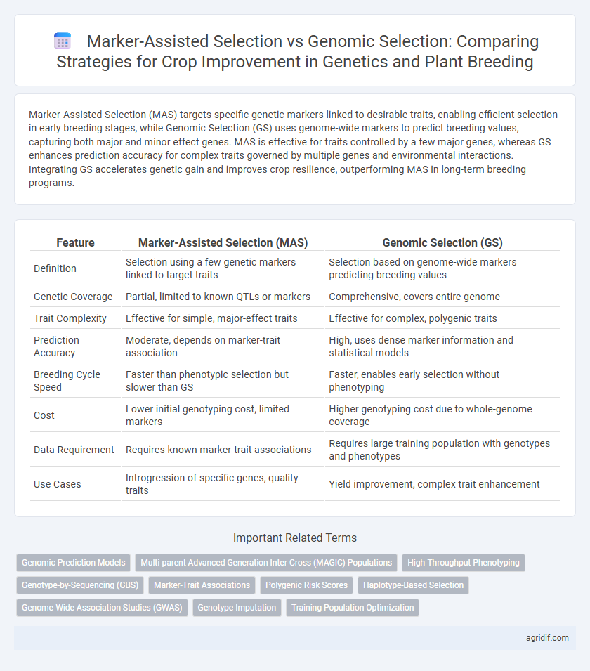 Marker-Assisted Selection vs Genomic Selection: Comparing Strategies for Crop Improvement in Genetics and Plant Breeding