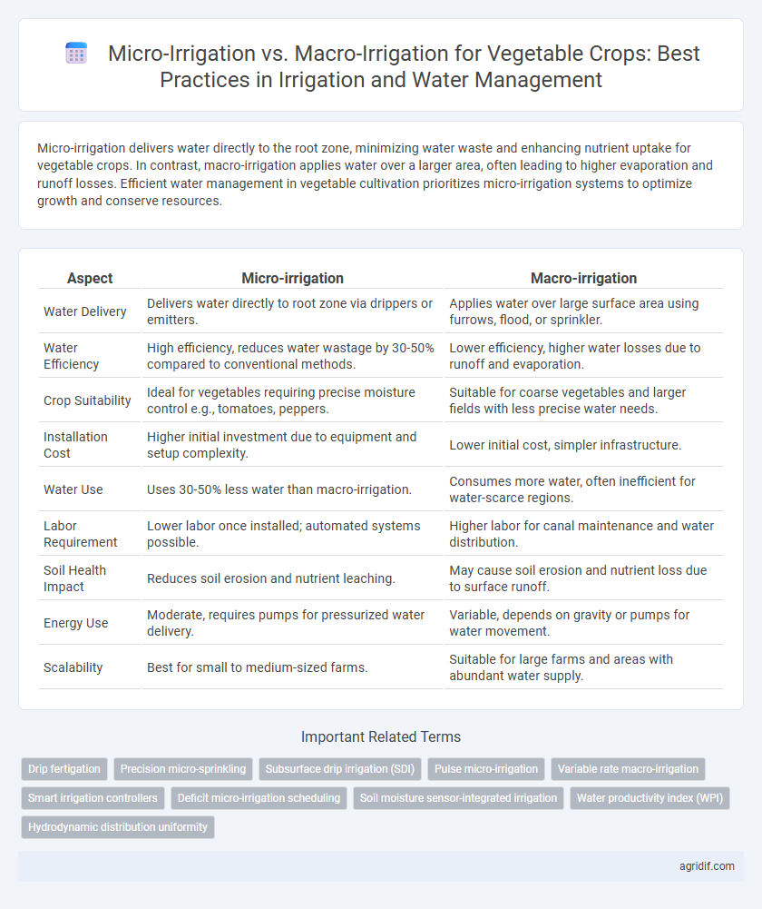 Micro-Irrigation vs. Macro-Irrigation for Vegetable Crops: Best Practices in Irrigation and Water Management