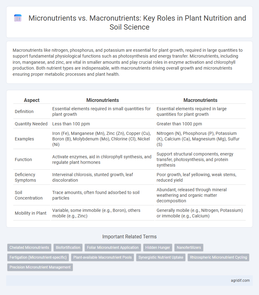 Micronutrients vs. Macronutrients: Key Roles in Plant Nutrition and Soil Science