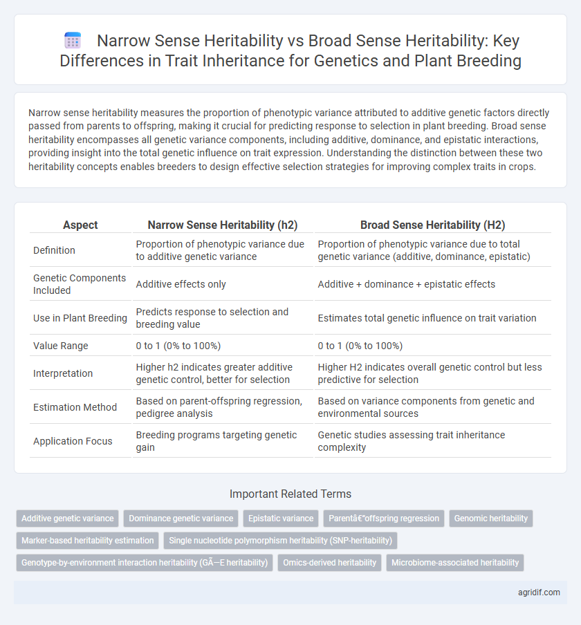 Narrow Sense Heritability vs Broad Sense Heritability: Key Differences in Trait Inheritance for Genetics and Plant Breeding