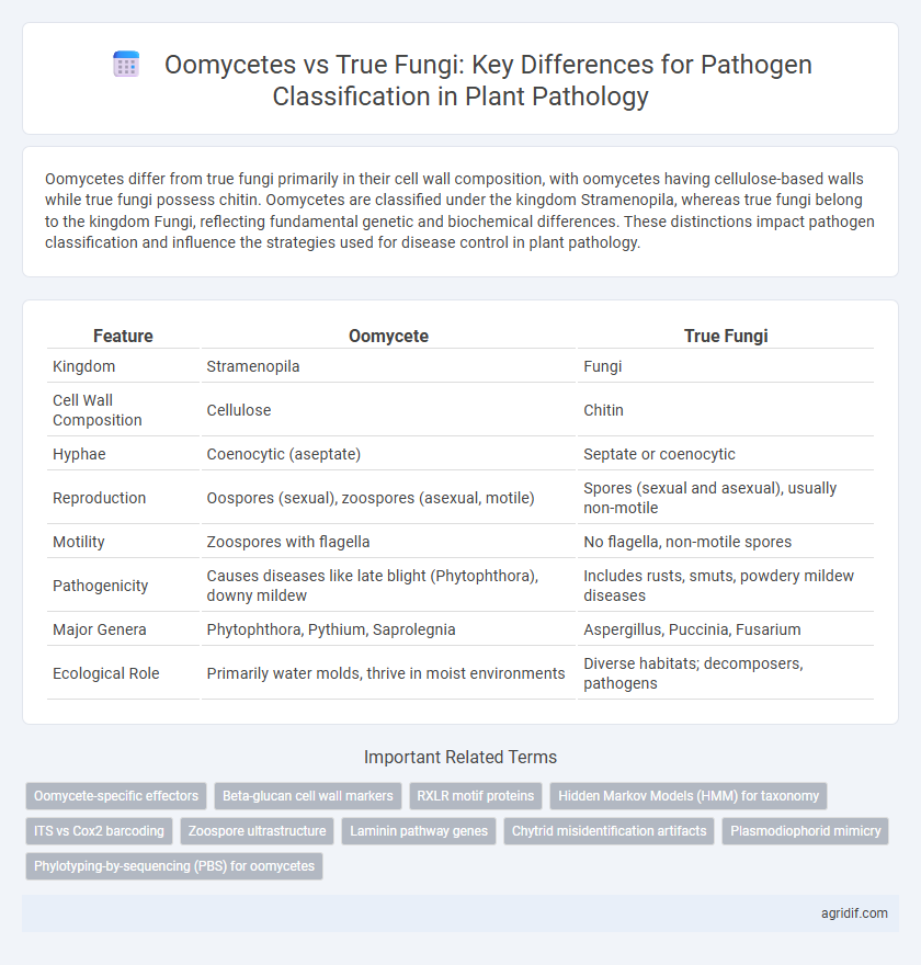 Oomycetes vs True Fungi: Key Differences for Pathogen Classification in Plant Pathology