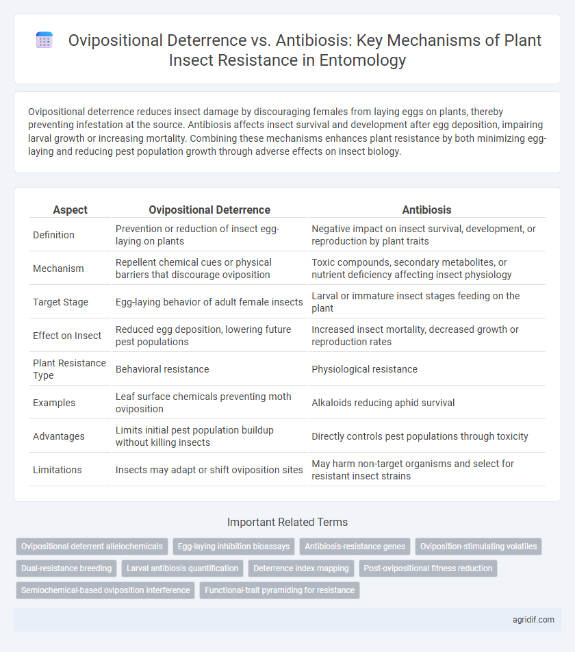 Ovipositional Deterrence vs. Antibiosis: Key Mechanisms of Plant Insect Resistance in Entomology