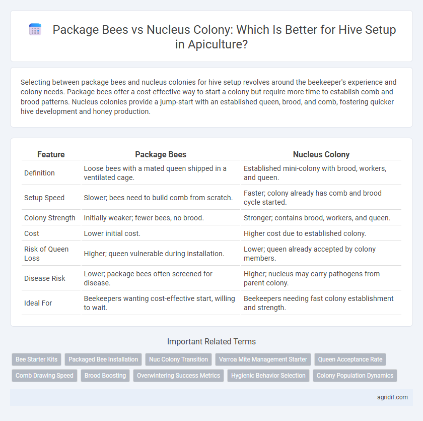 Package Bees vs Nucleus Colony: Which Is Better for Hive Setup in Apiculture?