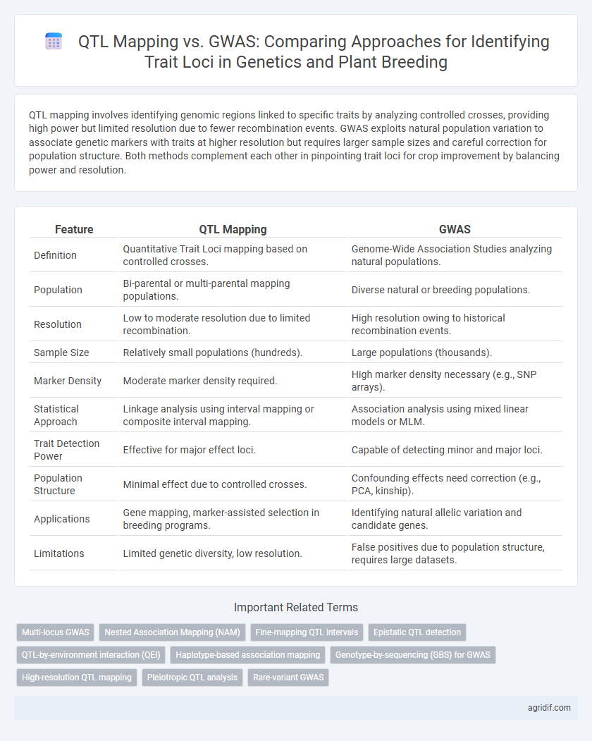 QTL Mapping vs. GWAS: Comparing Approaches for Identifying Trait Loci in Genetics and Plant Breeding