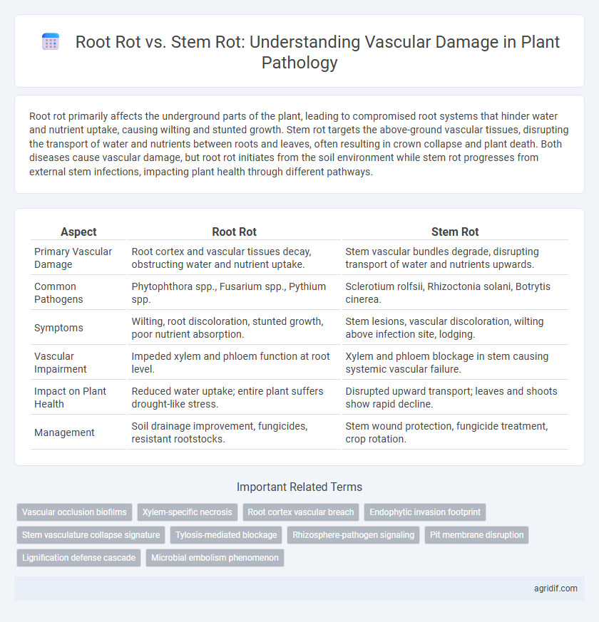 Root Rot vs. Stem Rot: Understanding Vascular Damage in Plant Pathology