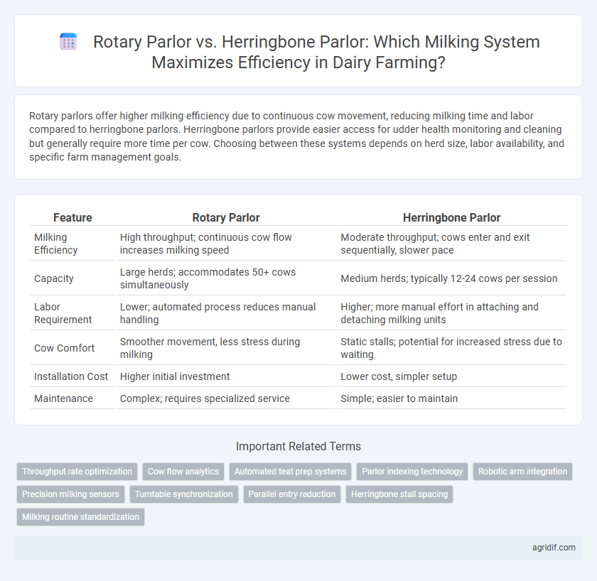 Rotary Parlor vs. Herringbone Parlor: Which Milking System Maximizes Efficiency in Dairy Farming?