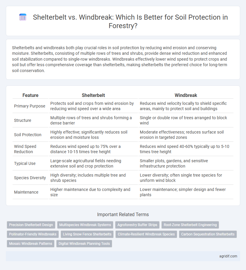 Shelterbelt vs. Windbreak: Which Is Better for Soil Protection in Forestry?